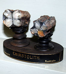  Chiastolites Australiennes