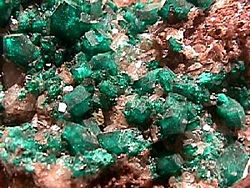 Dioptase Kazakhstan.jpg