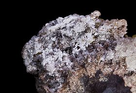 Charlesite3.jpg