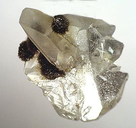 Nchwaningite-Calcite-174232.jpg