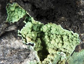 Variscite.jpg