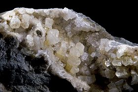 Weloganite2(11x5P.jpg