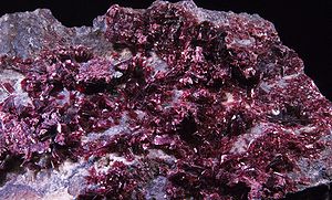  Erythrite - Bou Azzer, Maroc  (8x6cm)